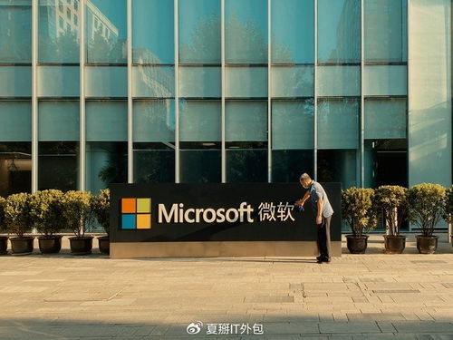 專業(yè)IT外包公司在微軟365部署與運(yùn)維中的優(yōu)勢(shì)